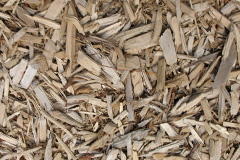 biomass boilers Alport